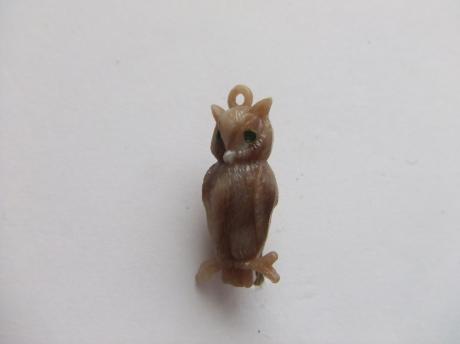 Uil roofvogel nachtdier